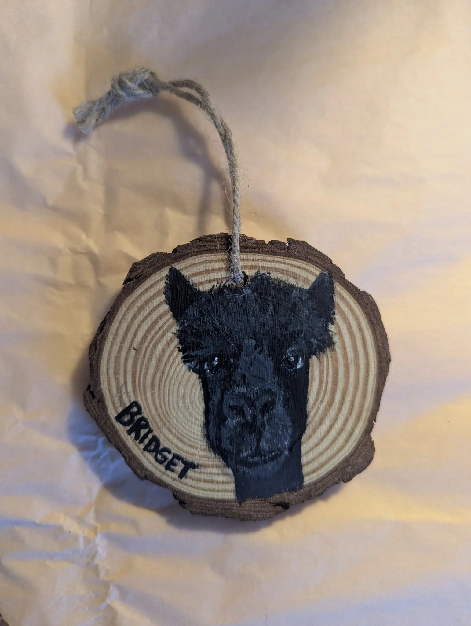 4772865056226023549 (1).jpg