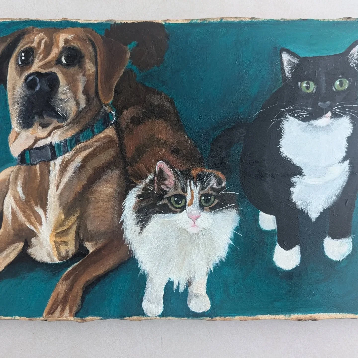 590407395_18068157923386436_1896547493881033998_n (1).jpg