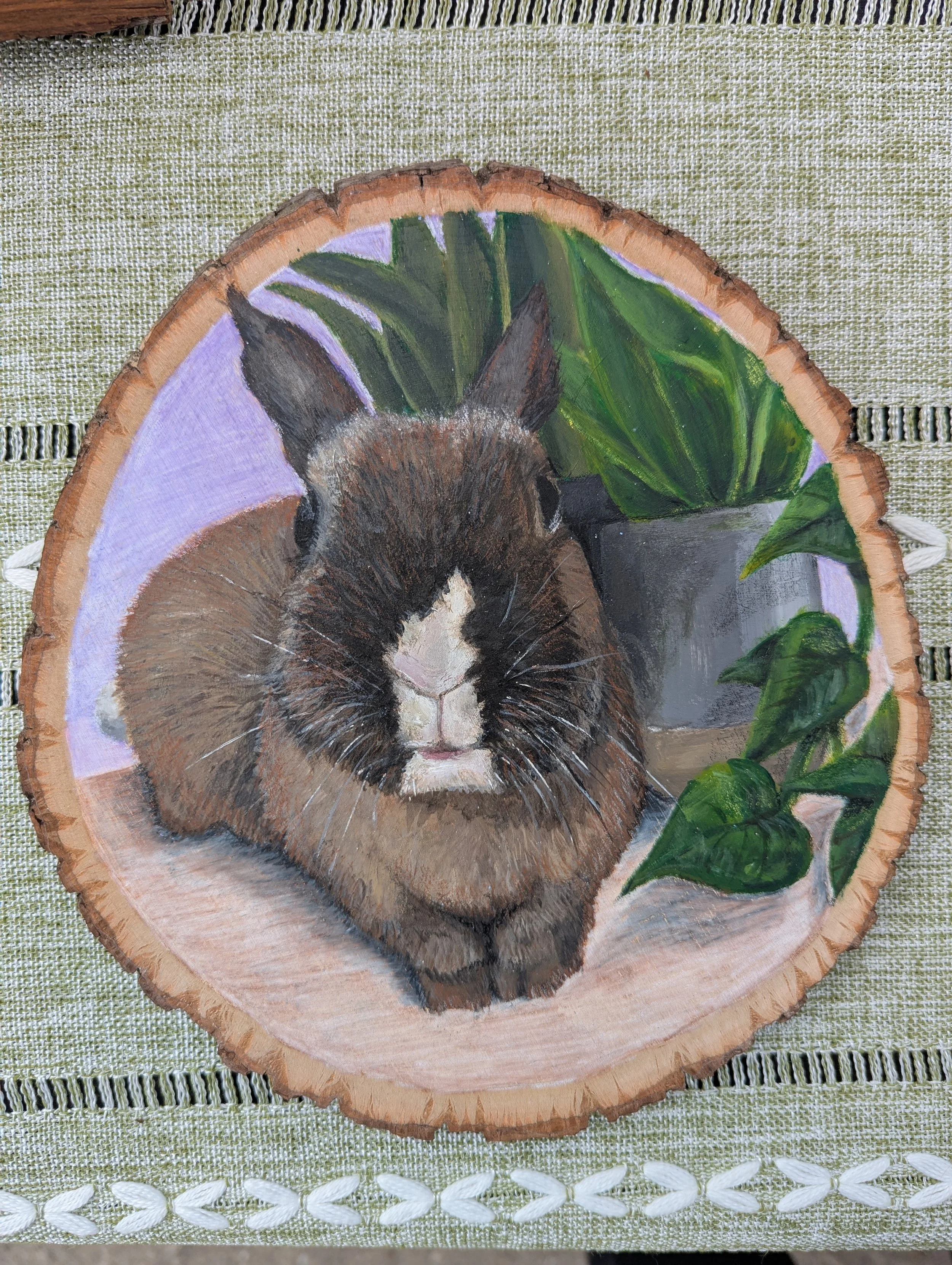 Medium Pet Portrait