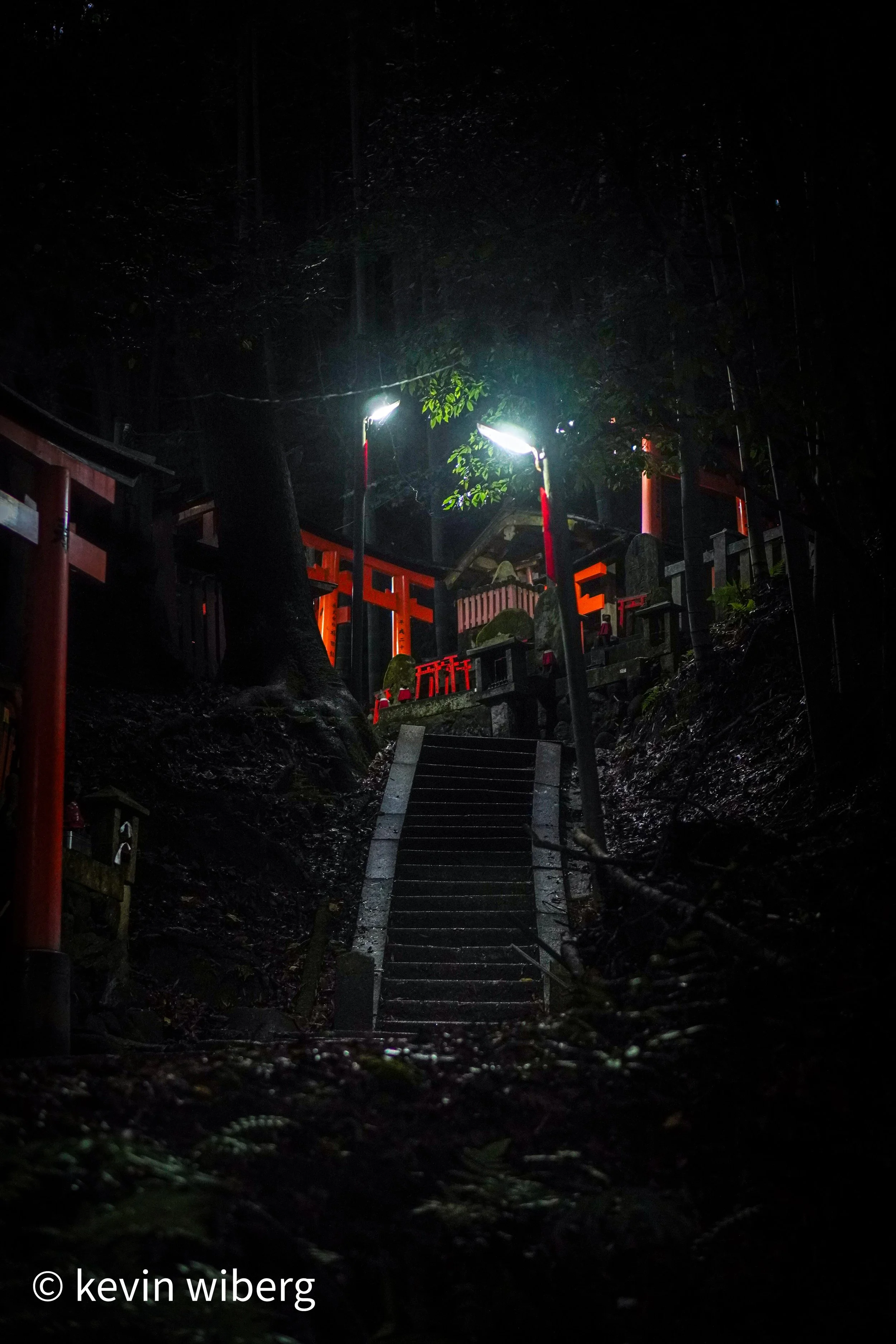 Forest spirits, Kyoto