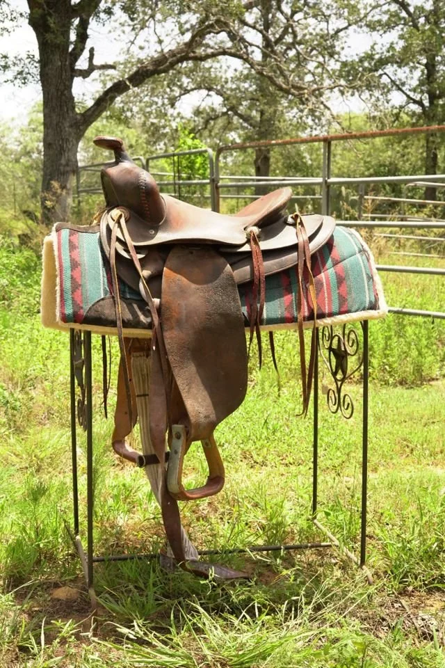 saddle.jpg
