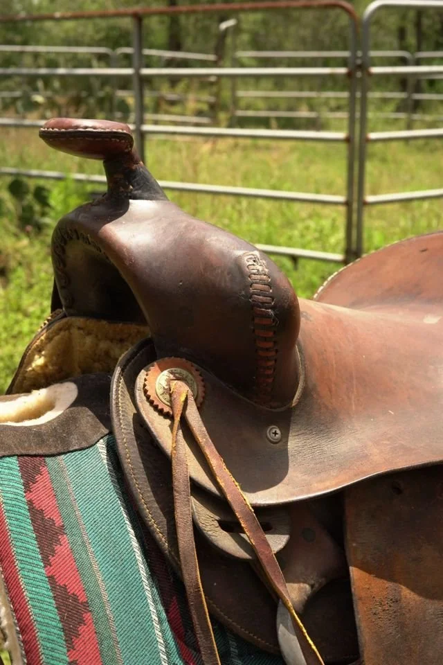saddle1.jpg