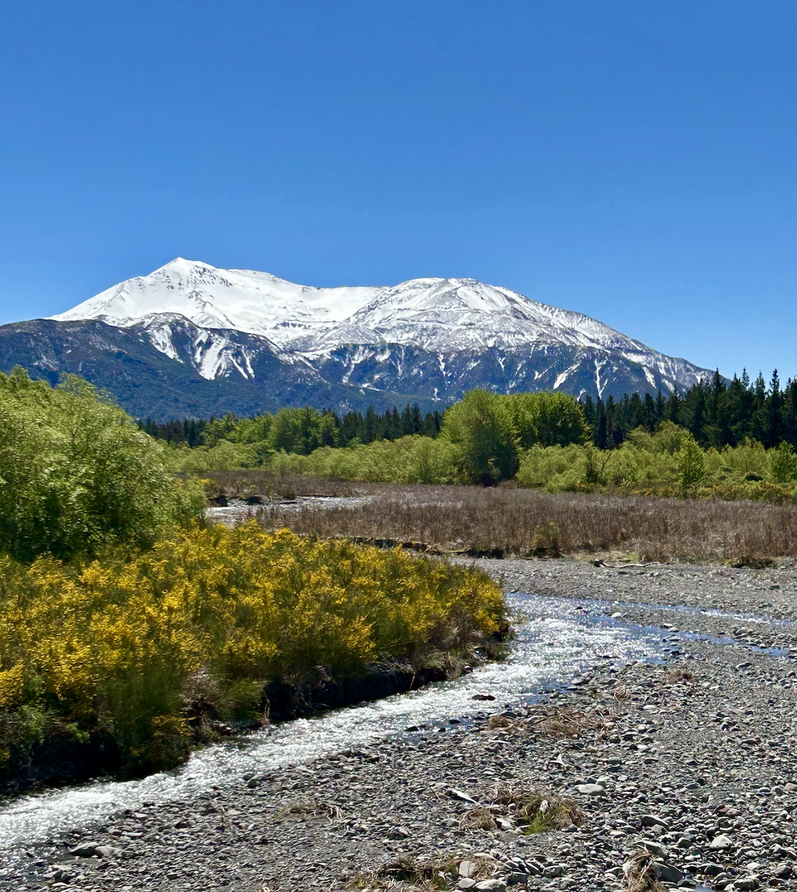 Screenshot 2026-04-10 at 1.00.13 am.png