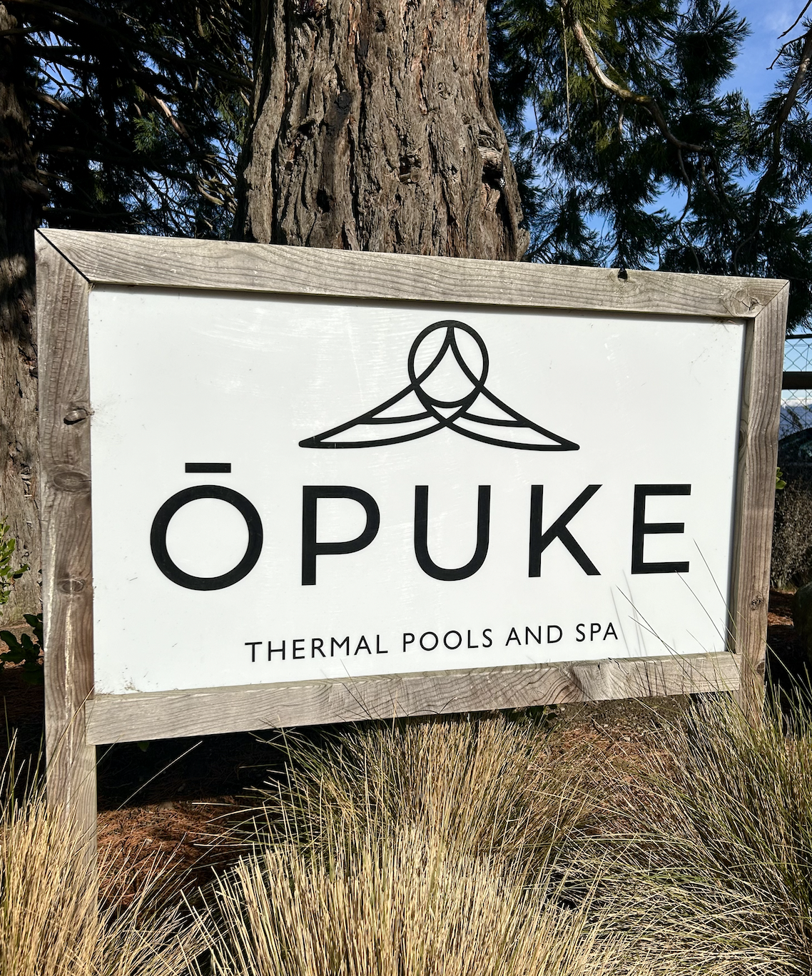 Screenshot 2026-04-10 at 12.32.43 am.png