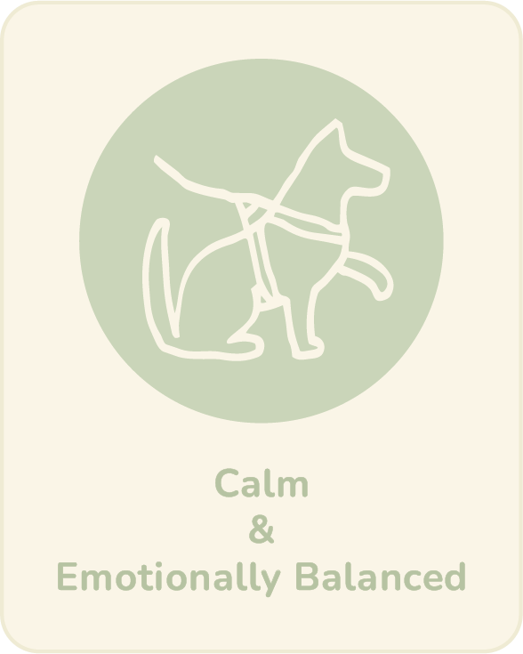 Calm and emotionally balanced dogs
