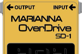 Marianna Drive Block Party