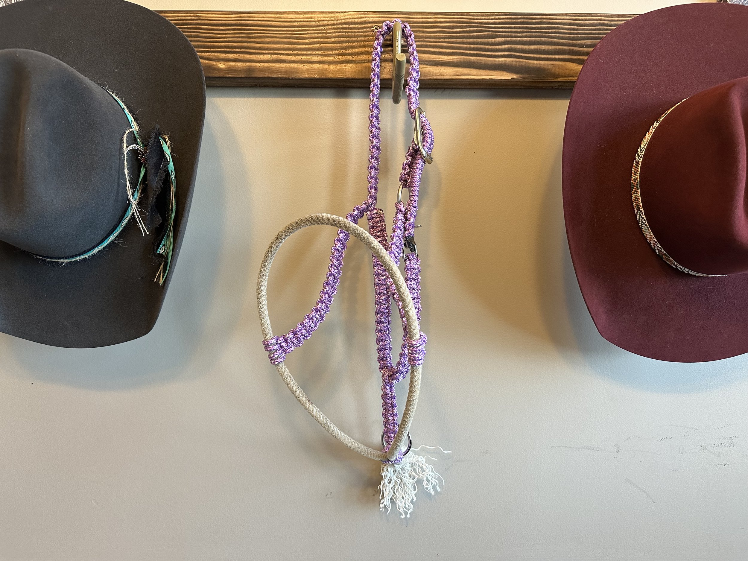 Relaxing Lavender 💜