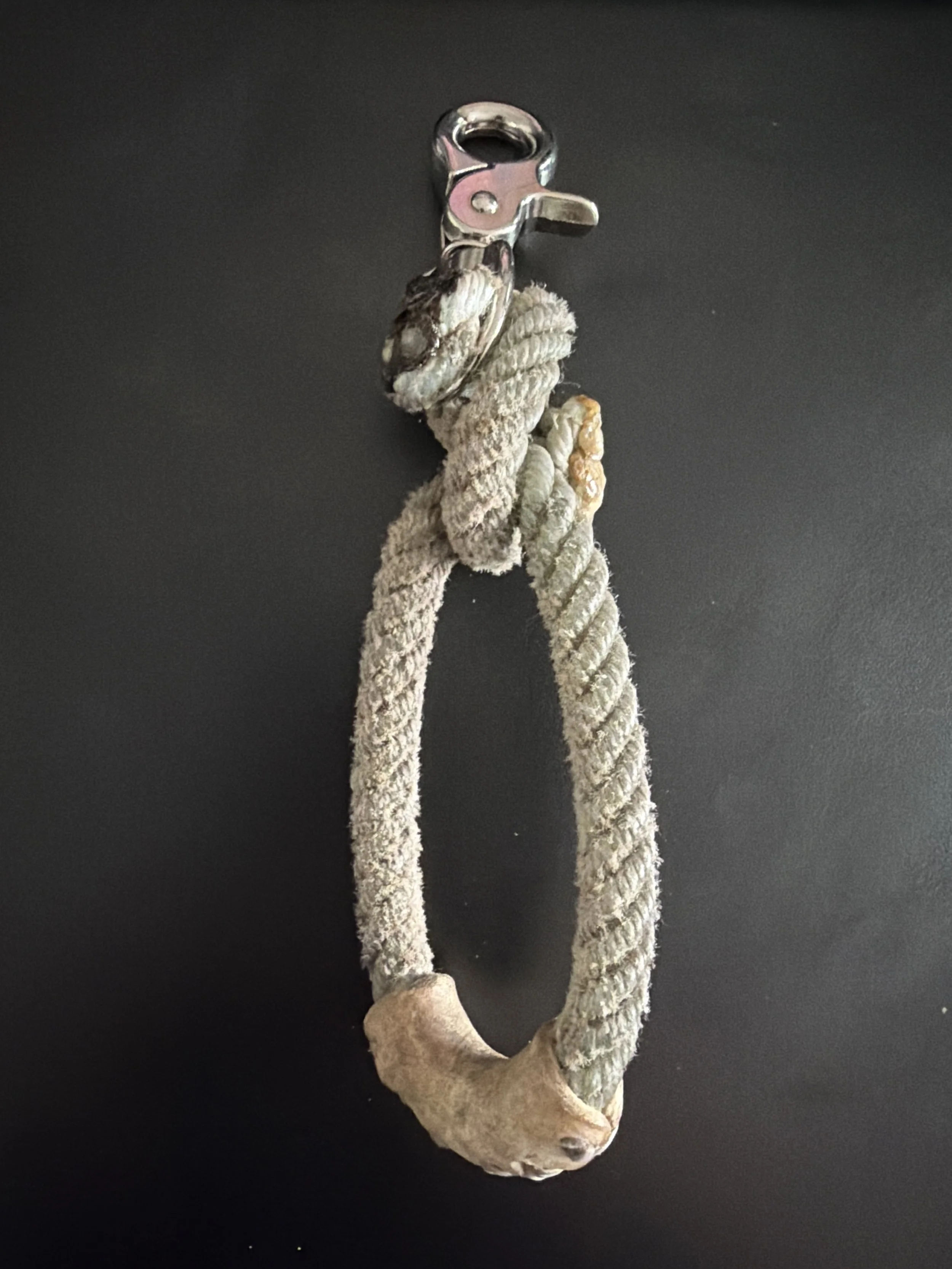image.jpg