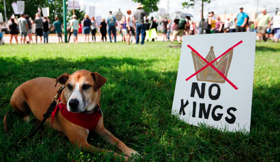 NO KINGS Springfield Missouri