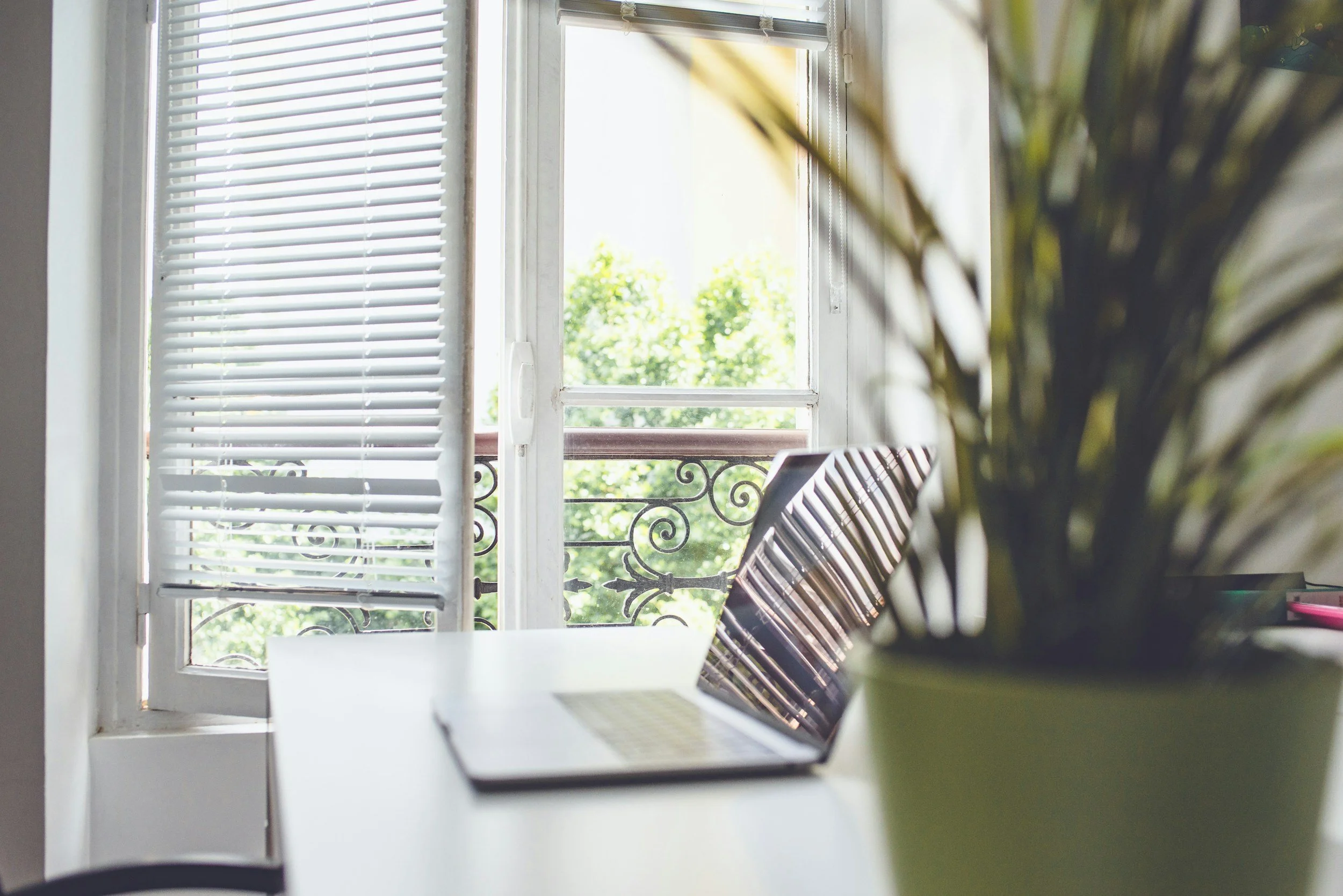 An open window with white blinds, sunlight shining through, and a view of green trees outside. Inside, a laptop is on a white table next to a potted plant.
