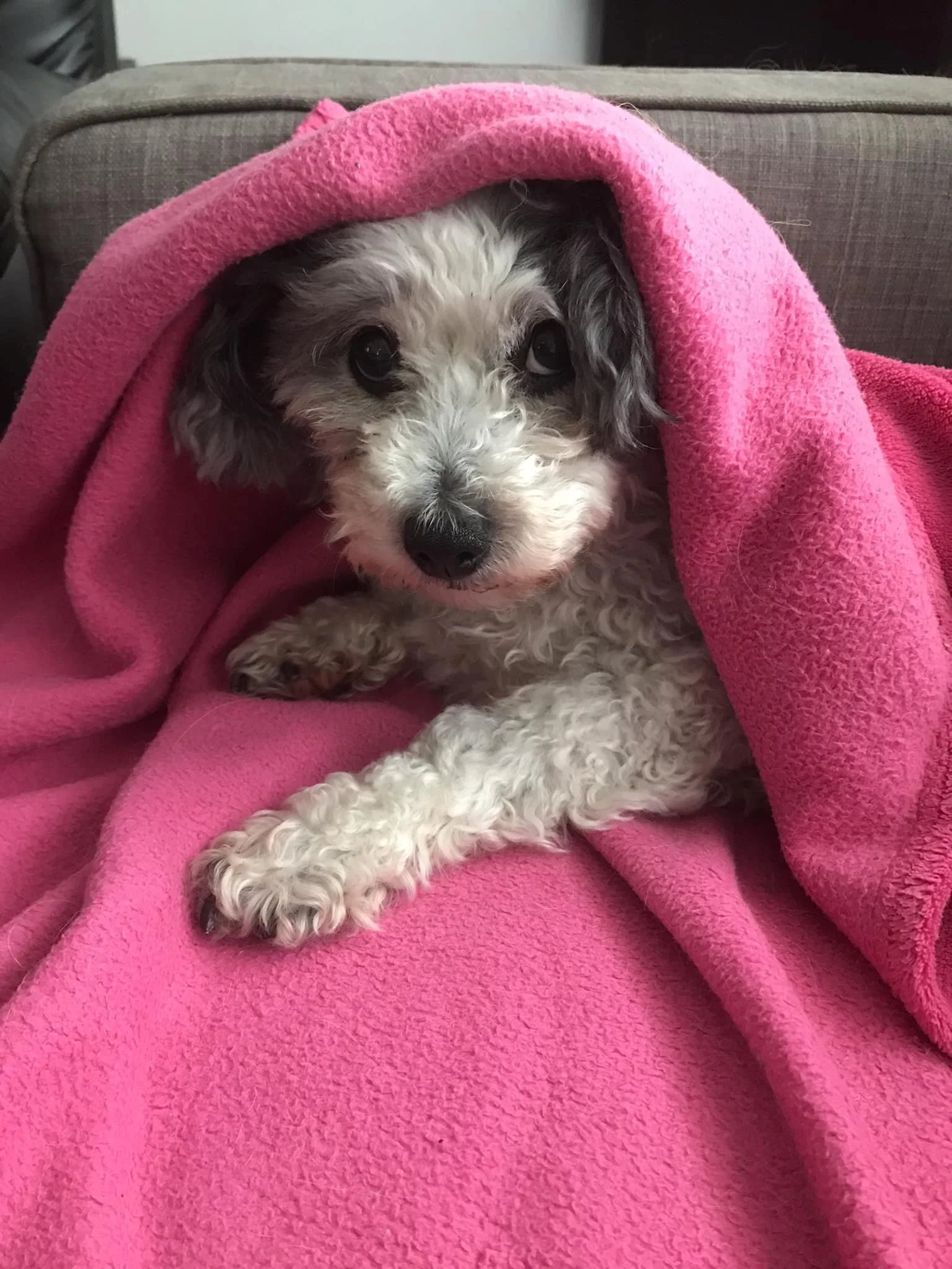 Snug Bella 