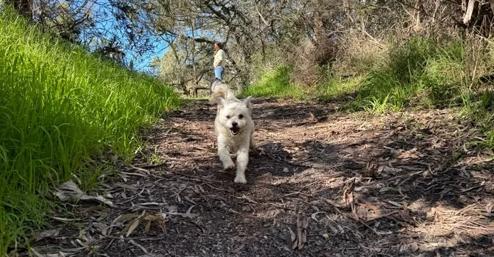 Loves going to the park!