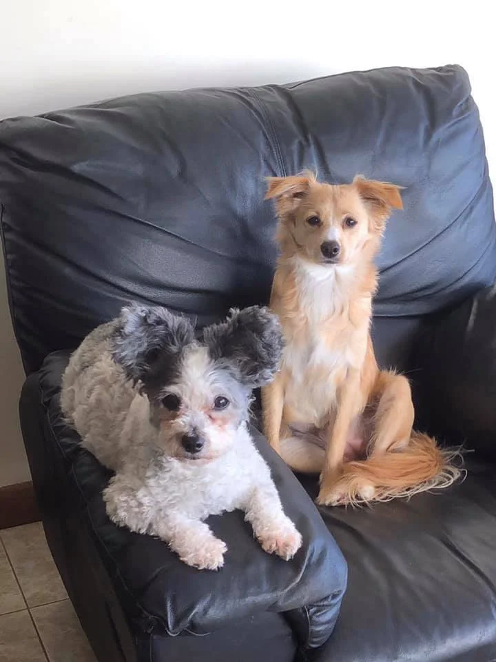Bella & Mya