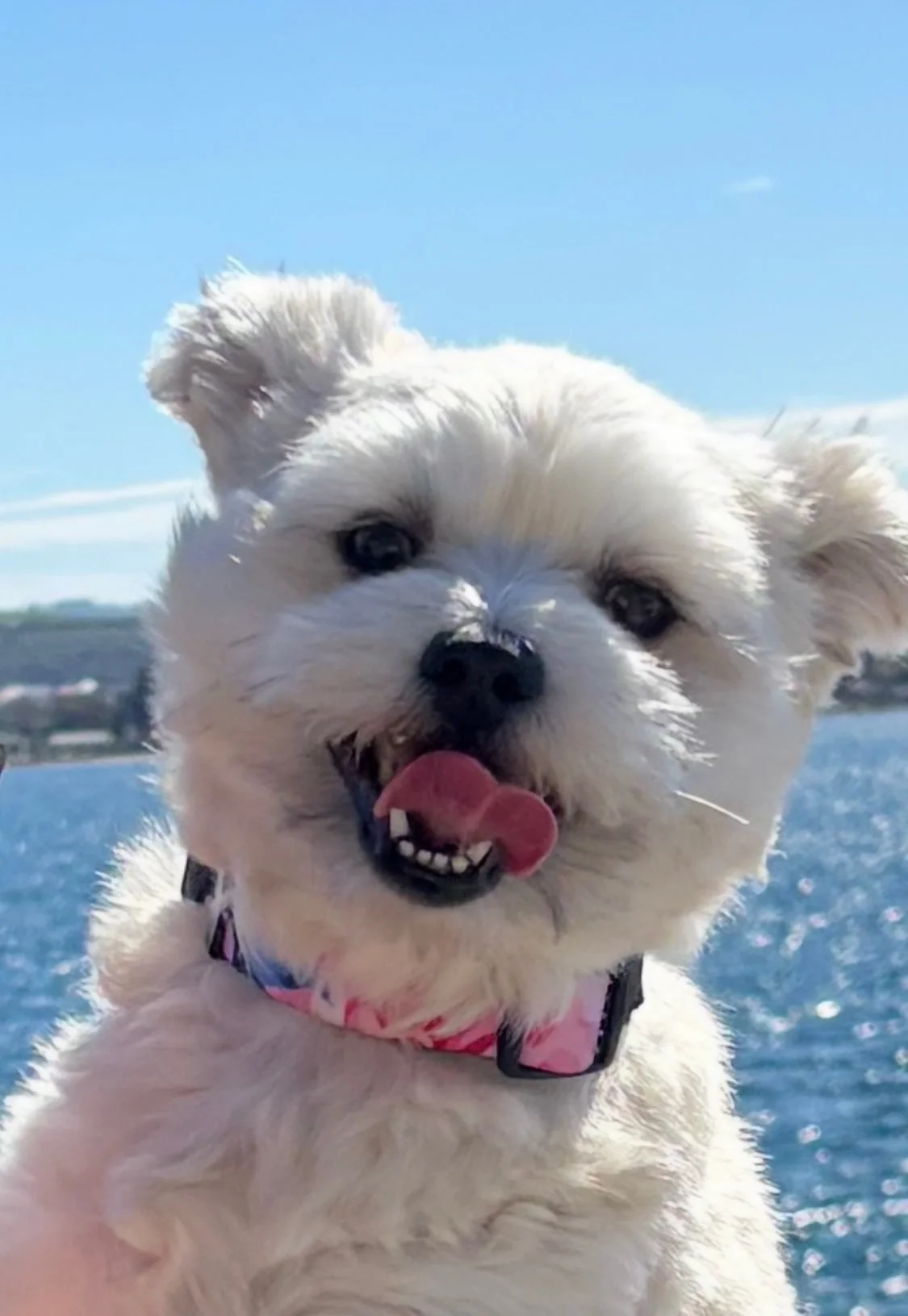 Happy face