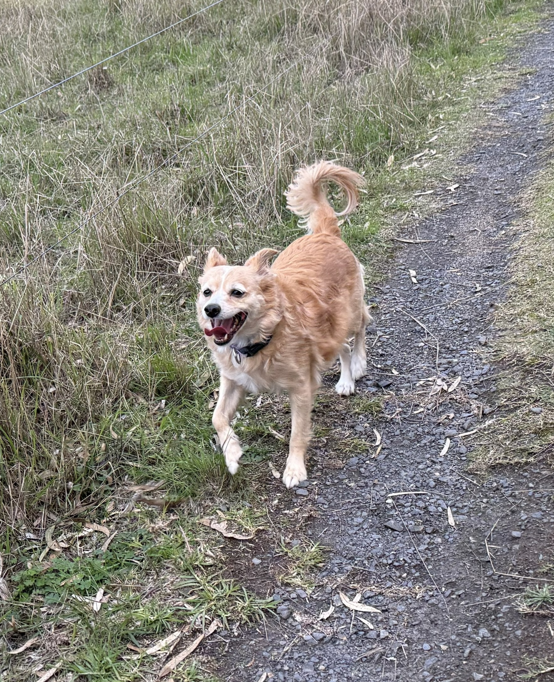 Loves where we live!