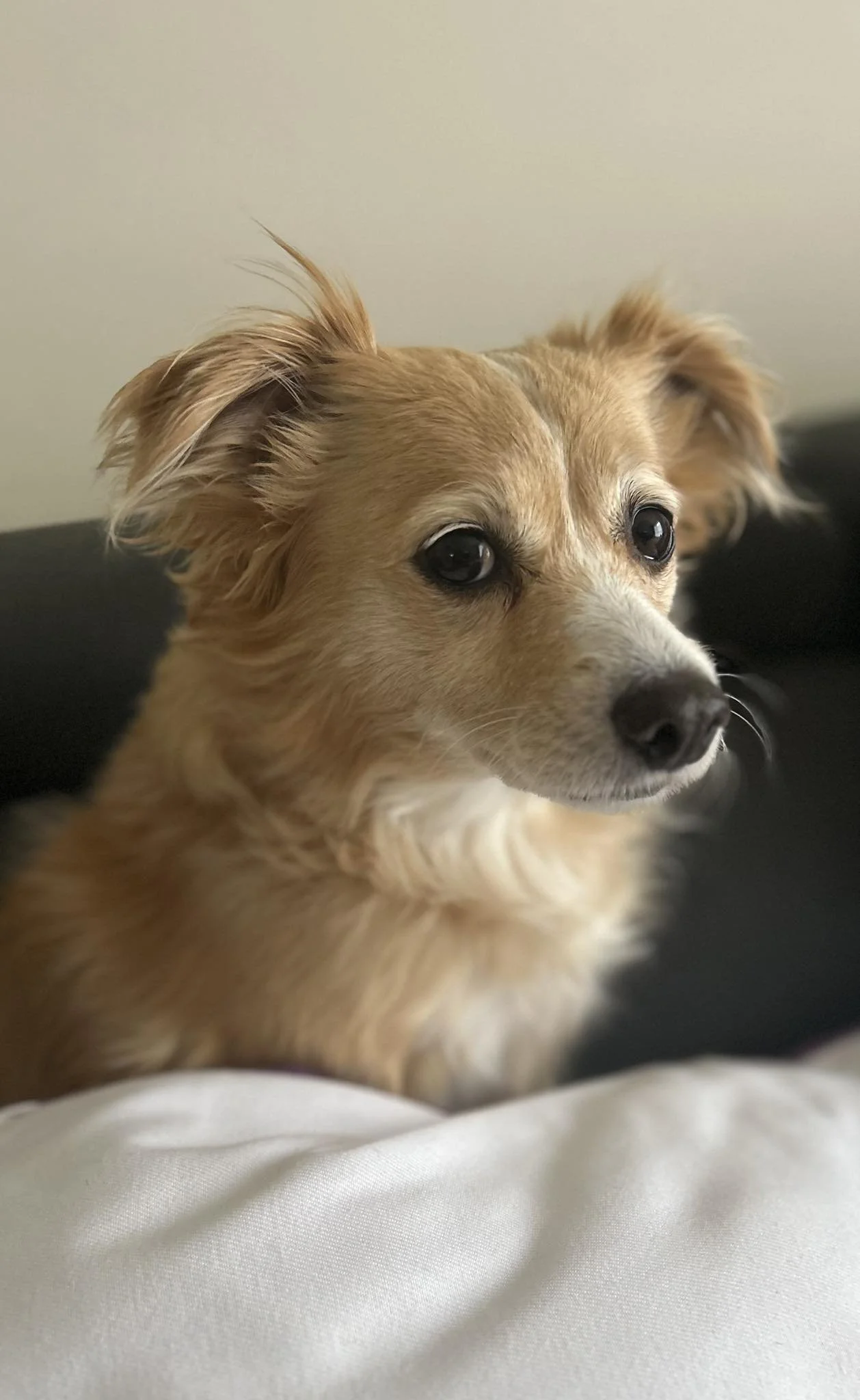 Side eye