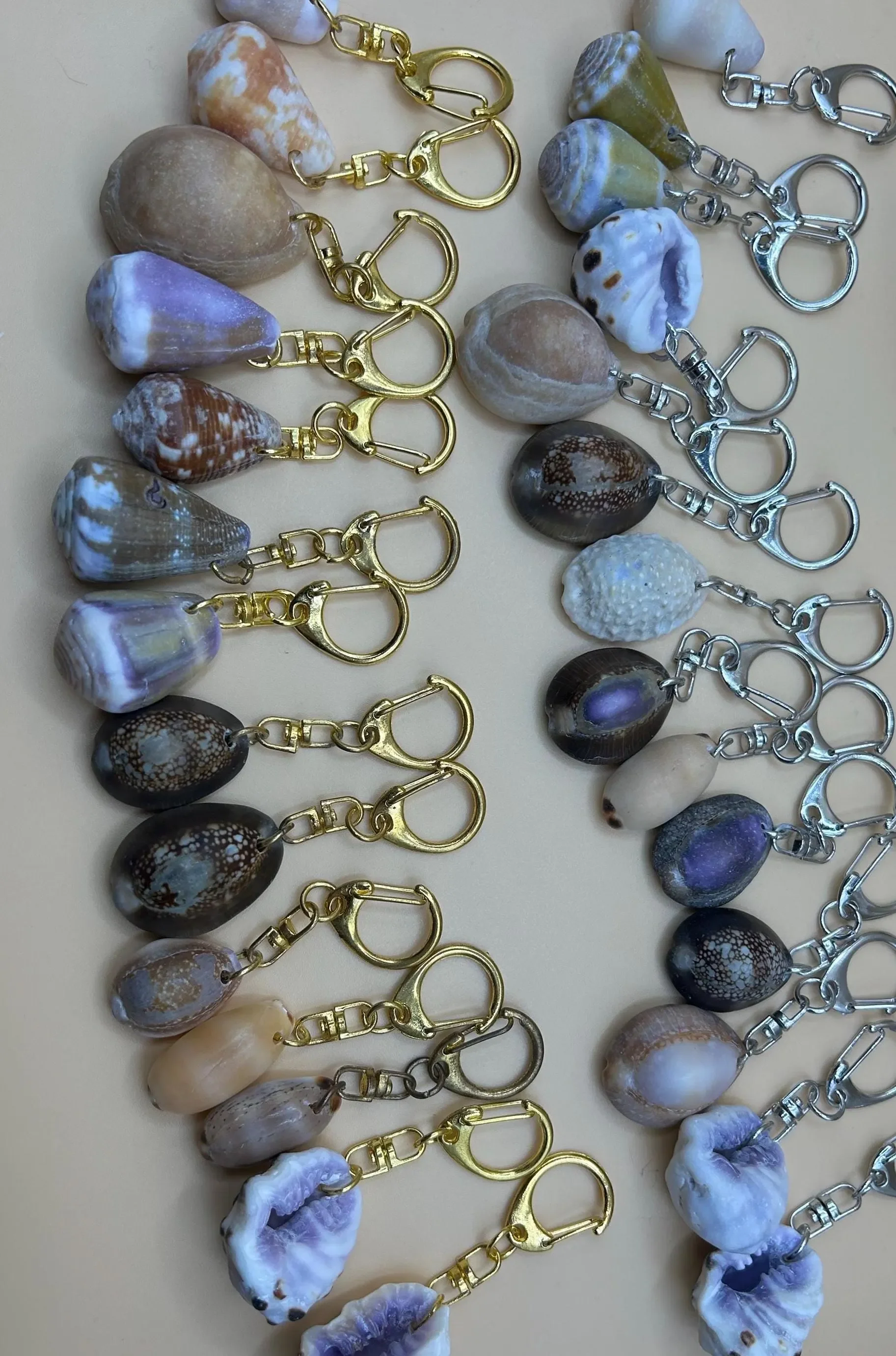Hawaii Shell Keychains - Cone Shells, Cowries, or Drupes