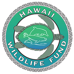 Hawaii Wildlife Fund logo featuring a fish, turtle, and coral with a headphone behind them, surrounded by circular text reading 'Hawaii Wildlife Fund'.