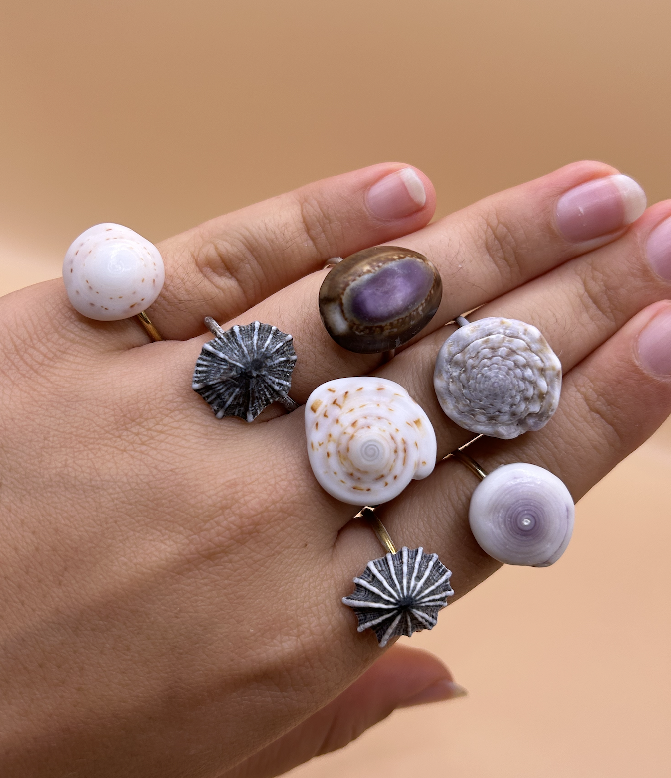 Hawaii Shell Rings - Adjustable Stainless Steel Opihi, Puka Shell, Fan Shell, or Shell Piece