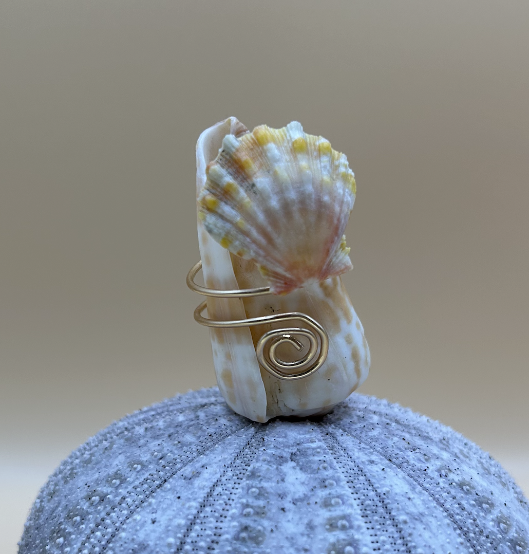 Screenshot 2026-02-08 at 10.03.25 PM.png