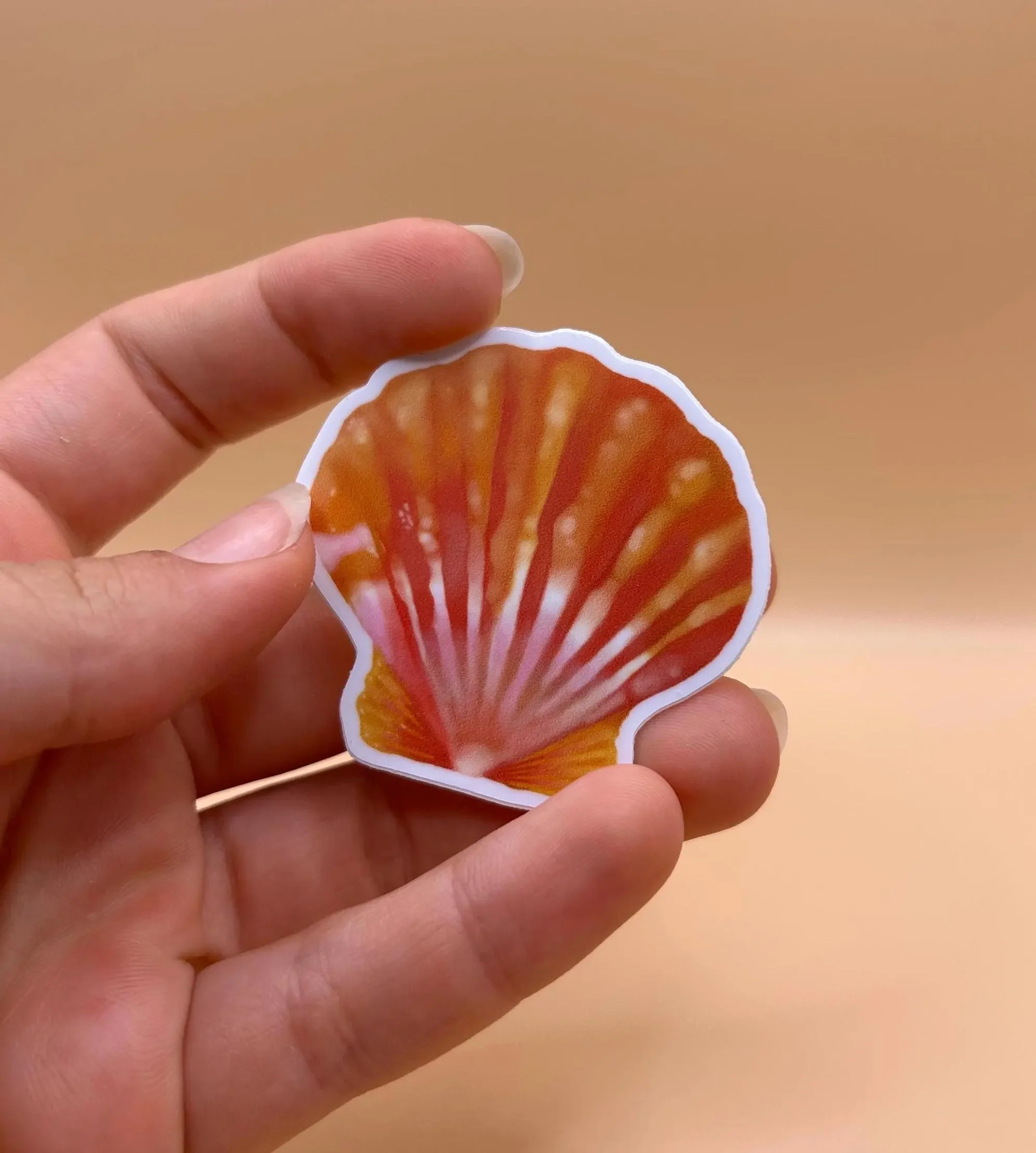 1 Pcs. Sunrise Shell Sticker - Designed on Maui
