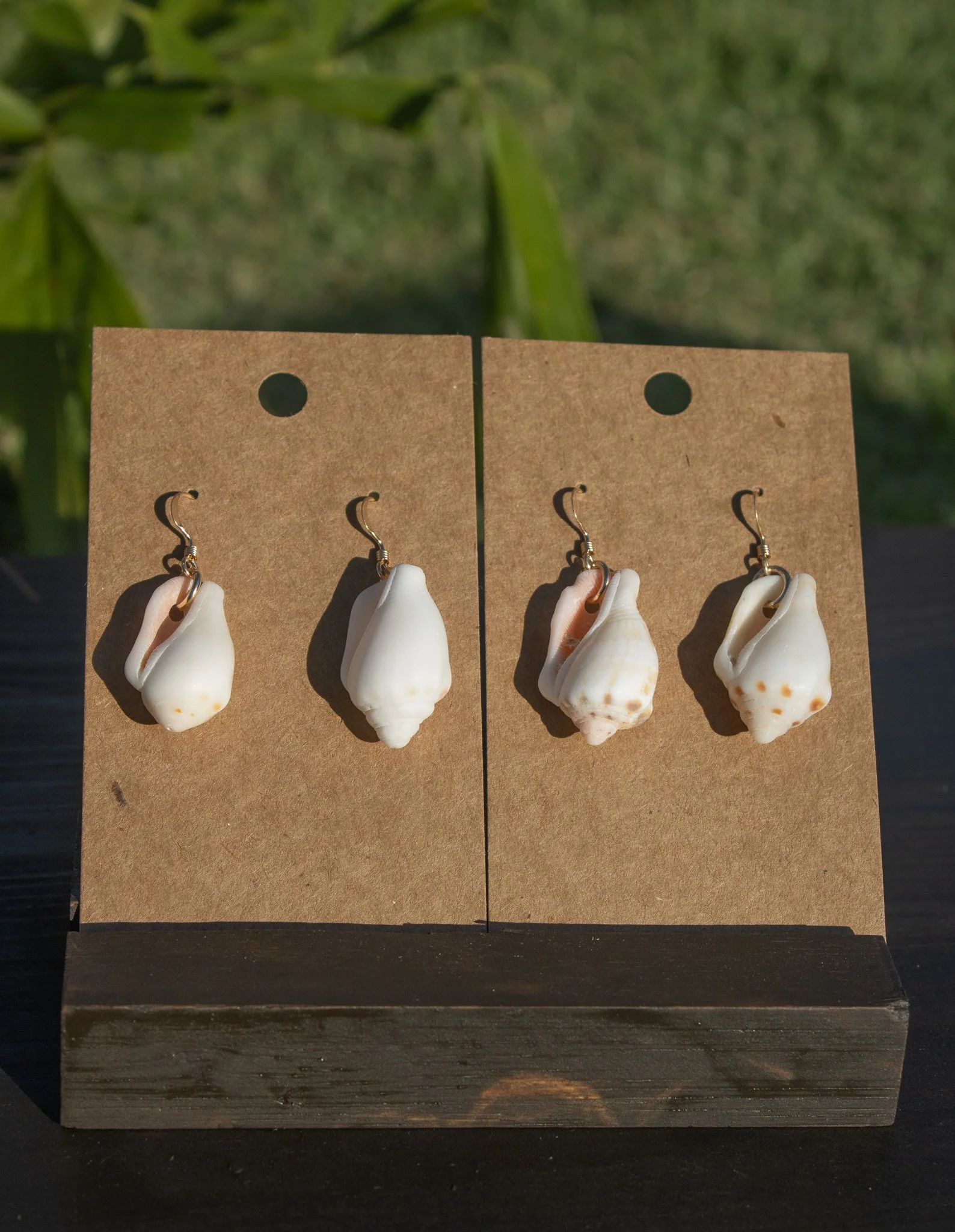 Okinawa Shell Earrings - Gold Stromb Earrings