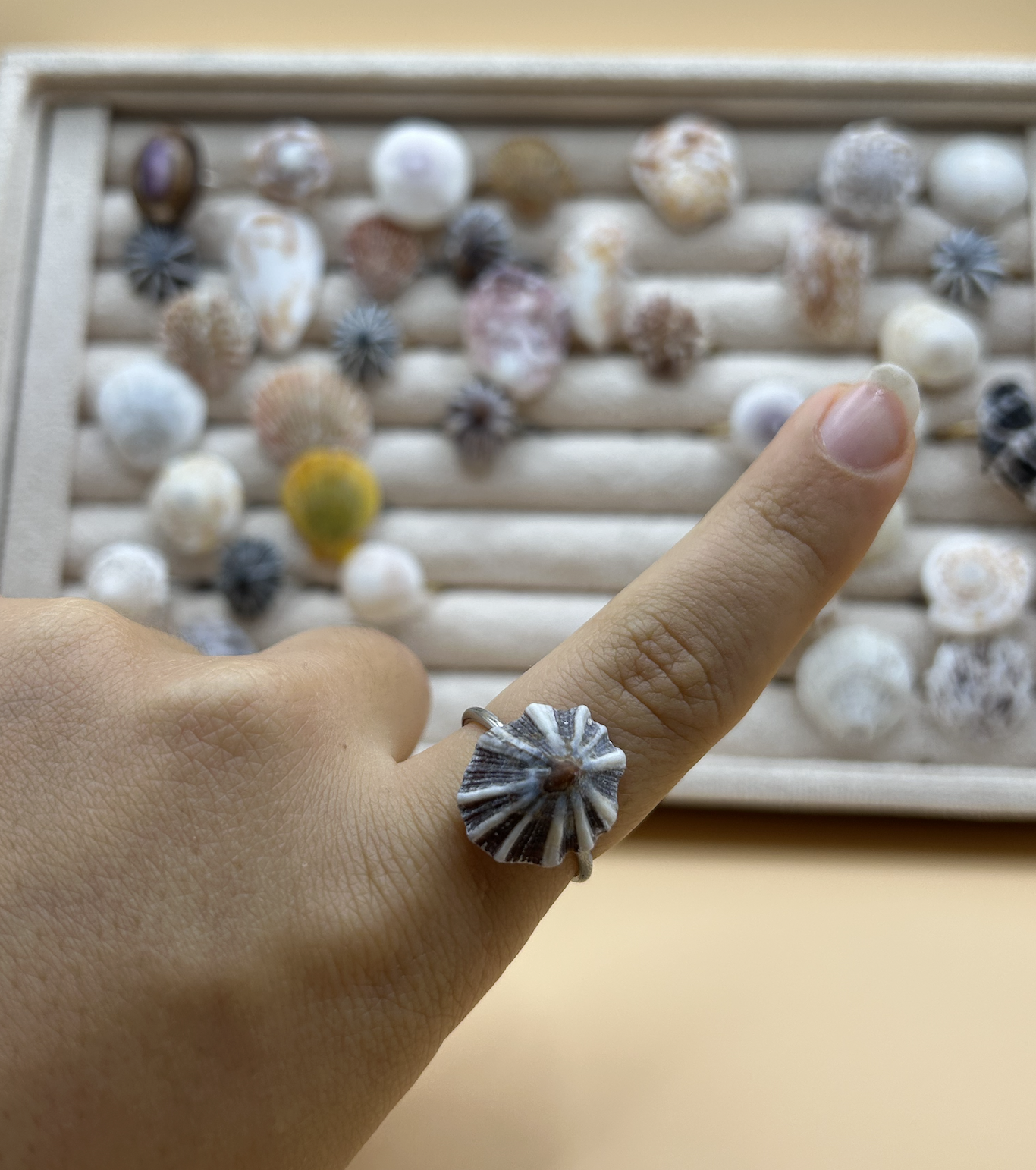 Screenshot 2026-02-08 at 9.55.01 PM.png