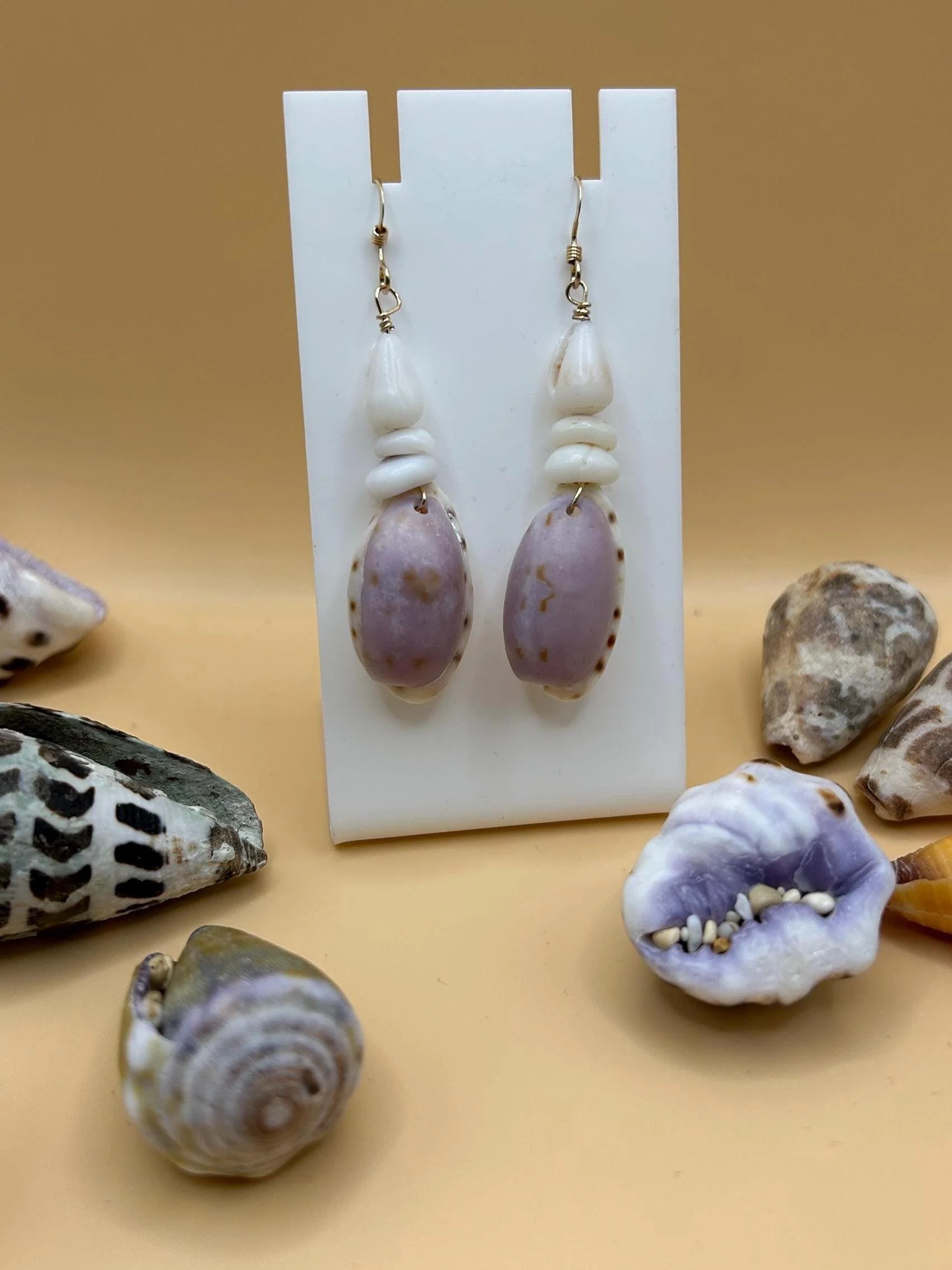 Hawaii Shell Earrings - Rare Purple Allison’s Cowries  - 14k Gold Filled