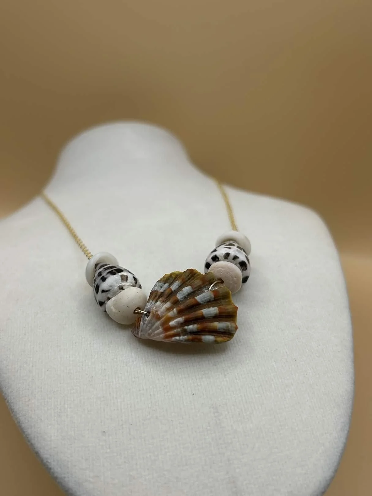 Tiger Striped Sunrise Shell Chip Necklace with Hebrew Shells - 14k Gold Filled