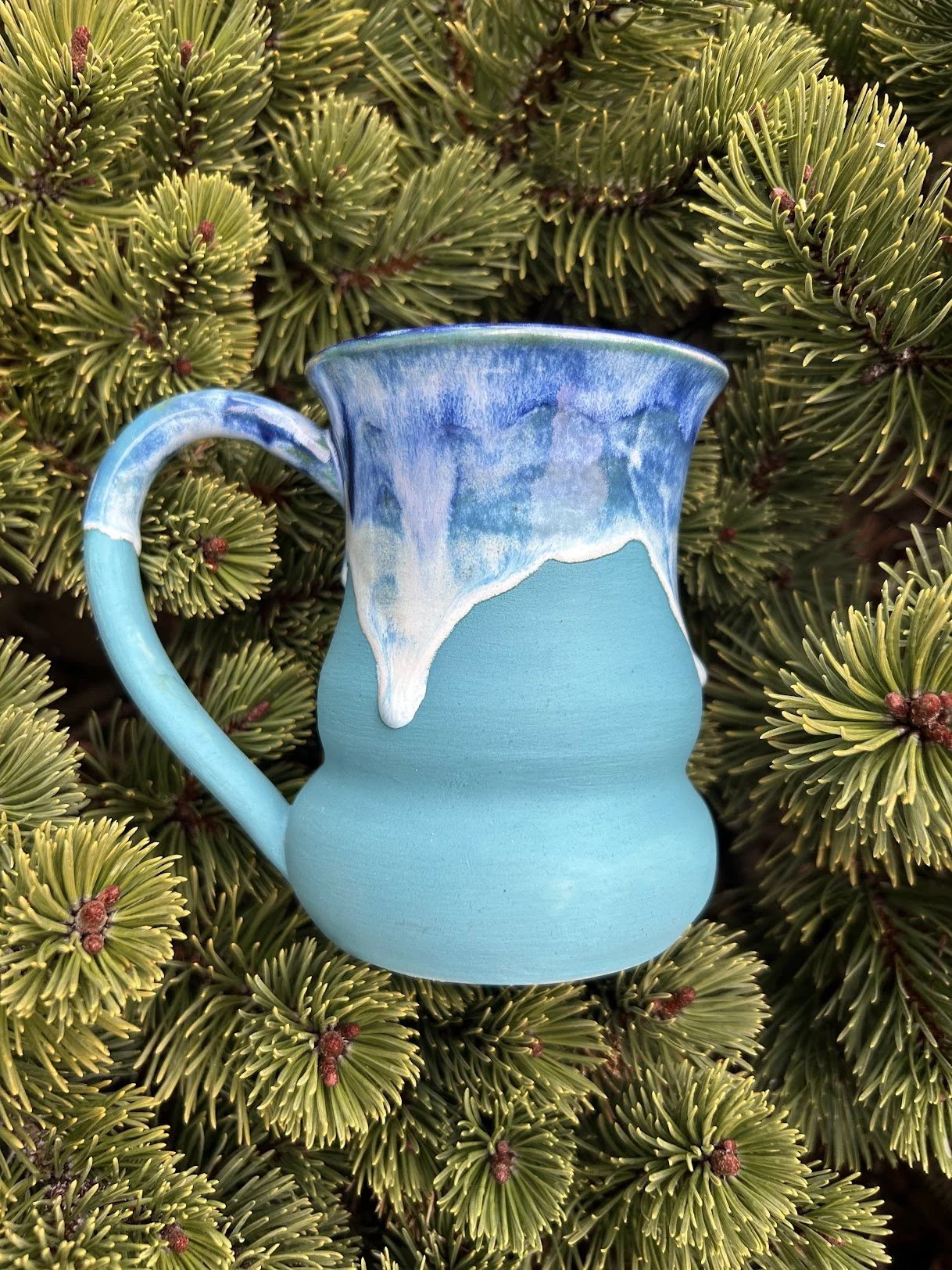 A ceramic pitcher with a light blue body and a blue and white glazed rim, placed on green pine branches.