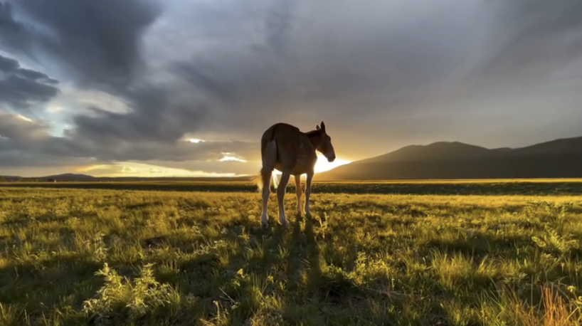 Screenshot 2026-02-19 at 12.20.12 PM.png