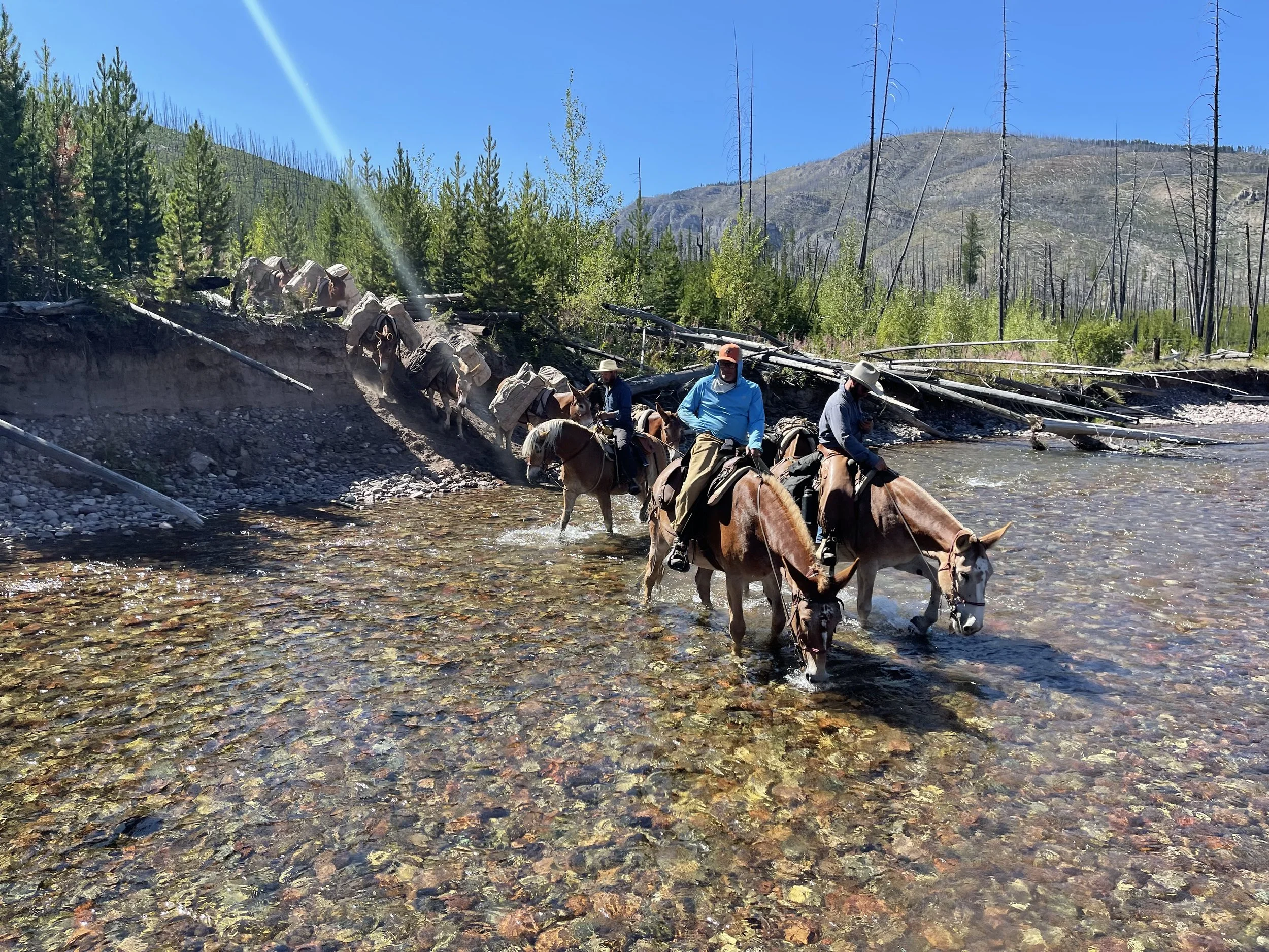 IMG_6731.jpeg (Copy)