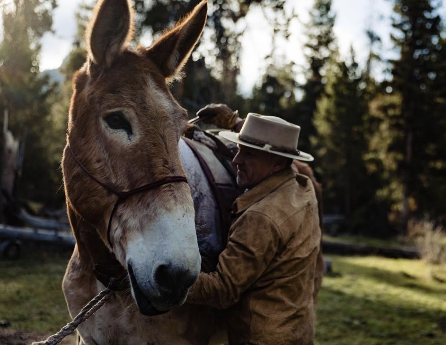 Screenshot 2026-02-19 at 12.26.43 PM.png