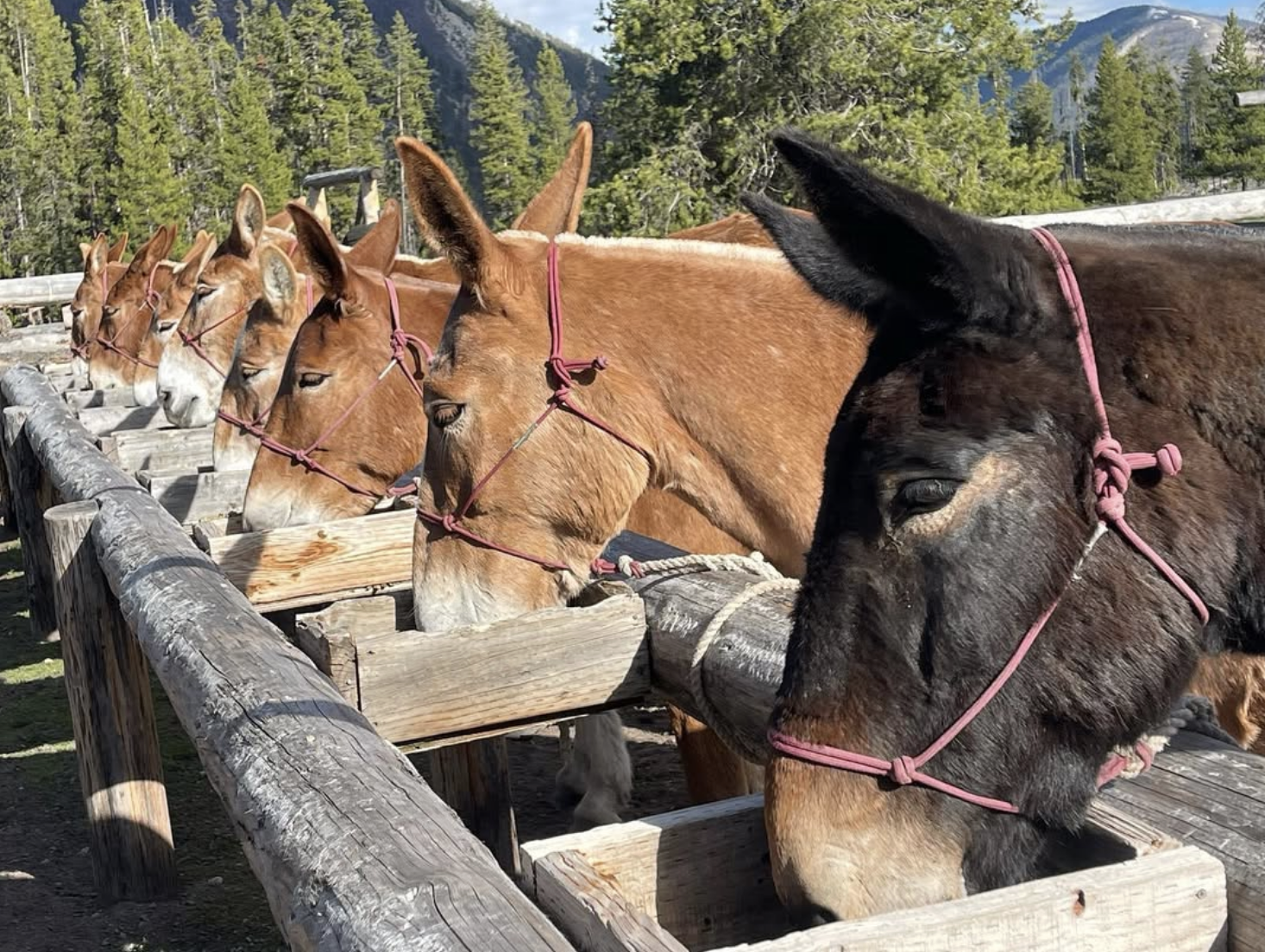 Screenshot 2026-02-19 at 12.28.47 PM.png