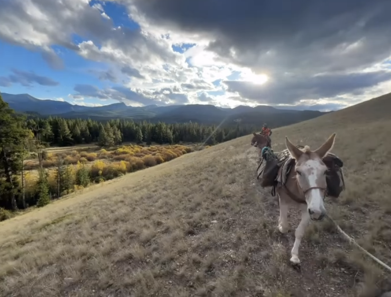 Hunting Camp Trip - Remaining Balance