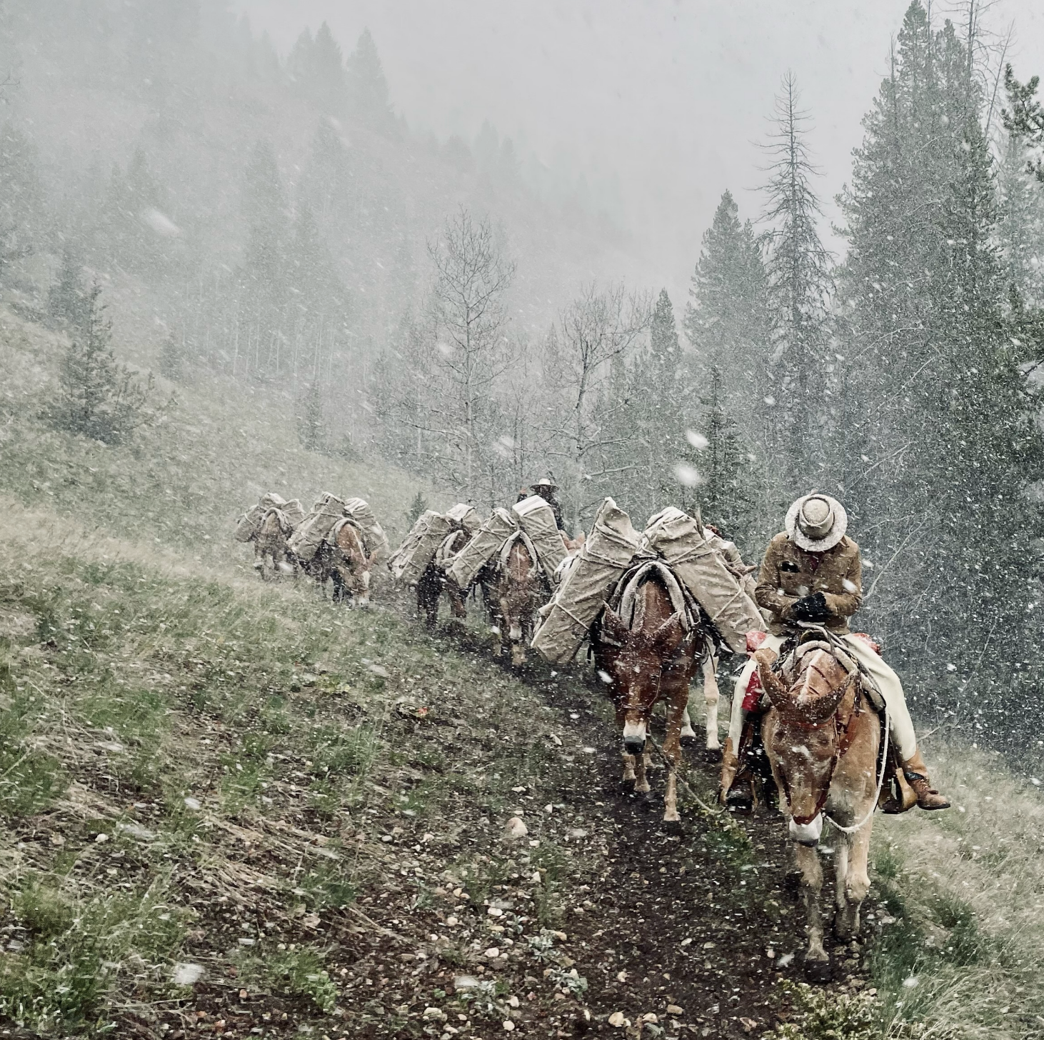 Screenshot 2026-02-19 at 12.18.06 PM.png