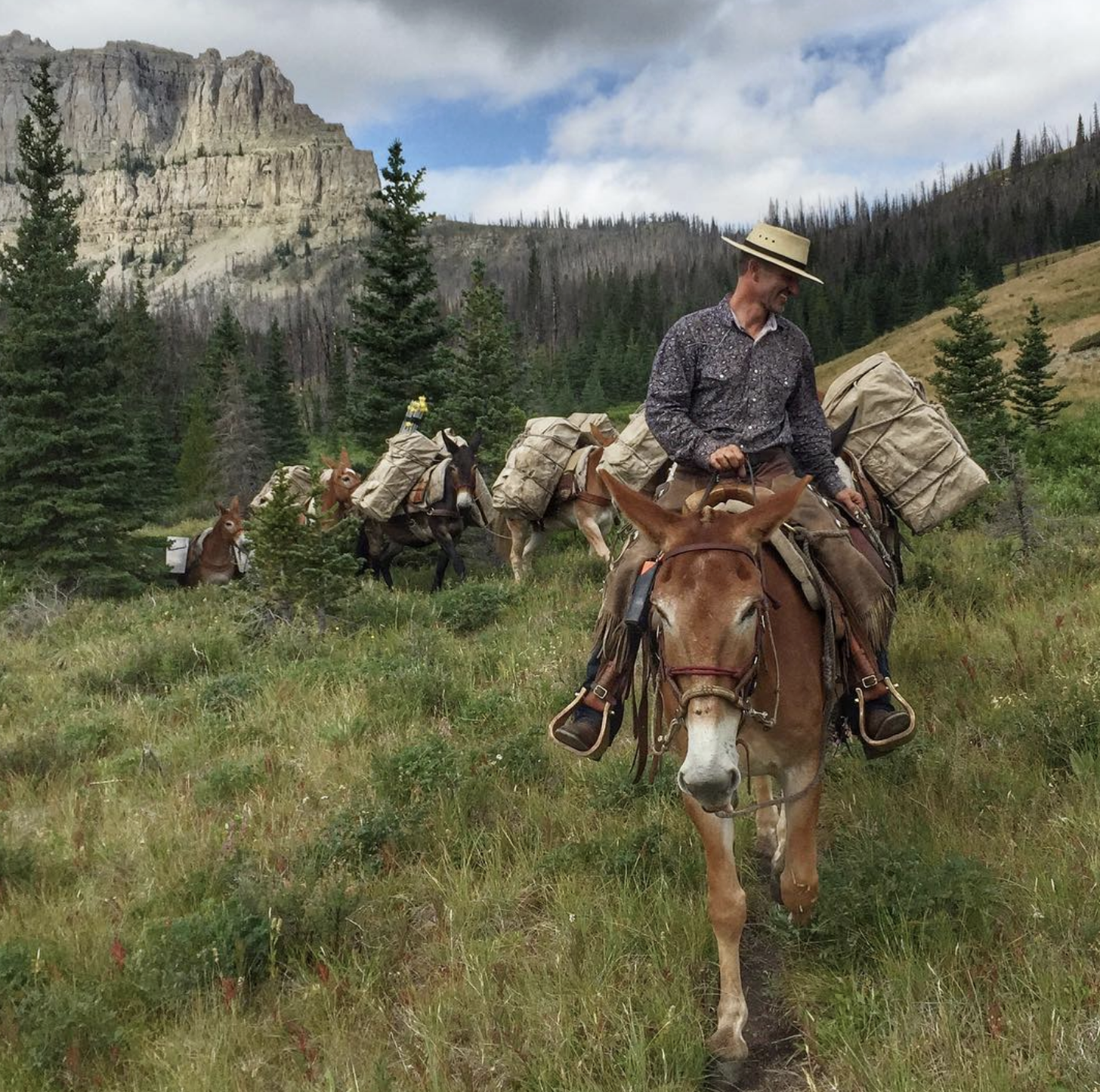 Screenshot 2026-03-28 at 8.03.58 PM.png