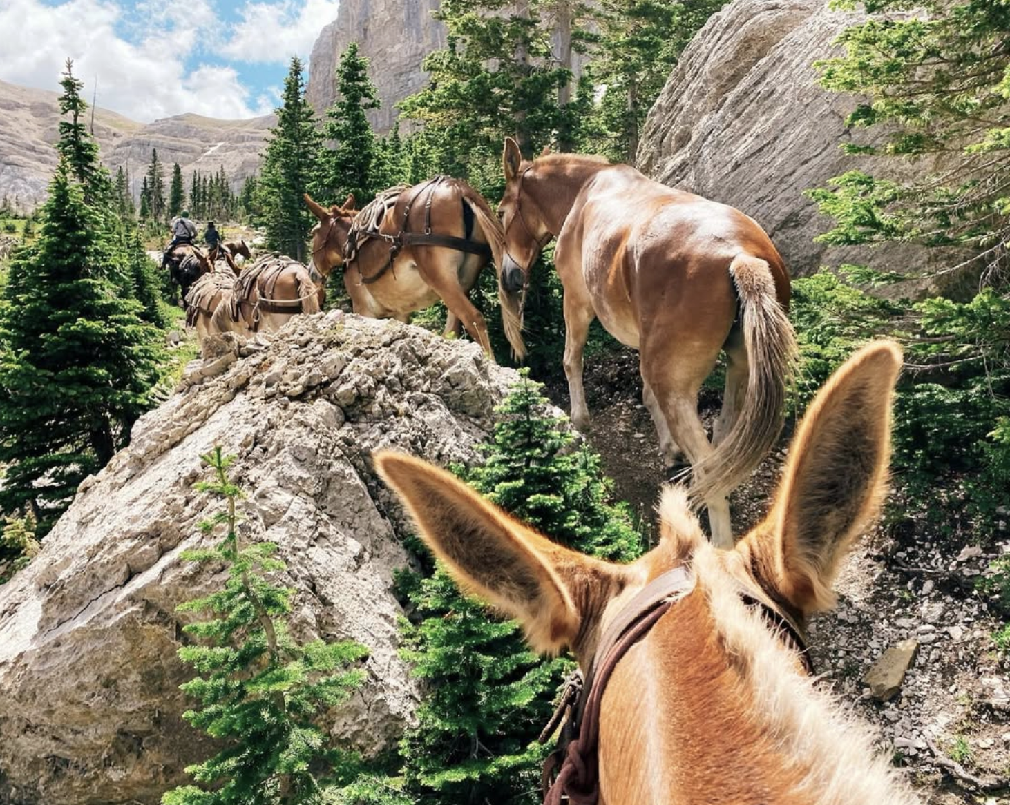 Screenshot 2026-02-19 at 12.34.34 PM.png