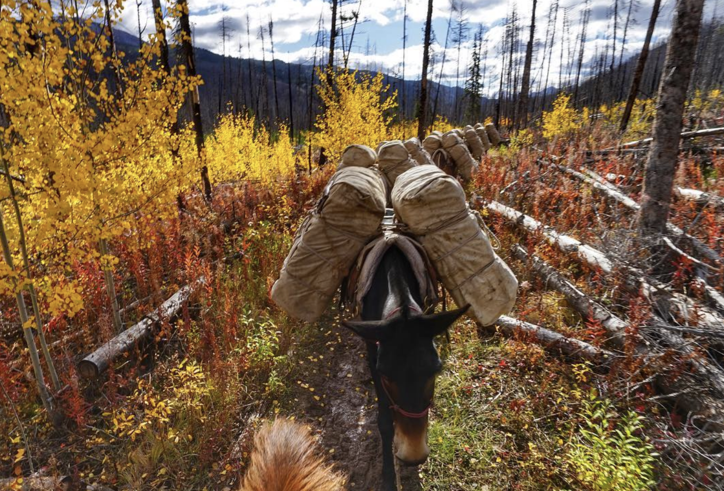 Screenshot 2026-03-28 at 8.04.44 PM.png