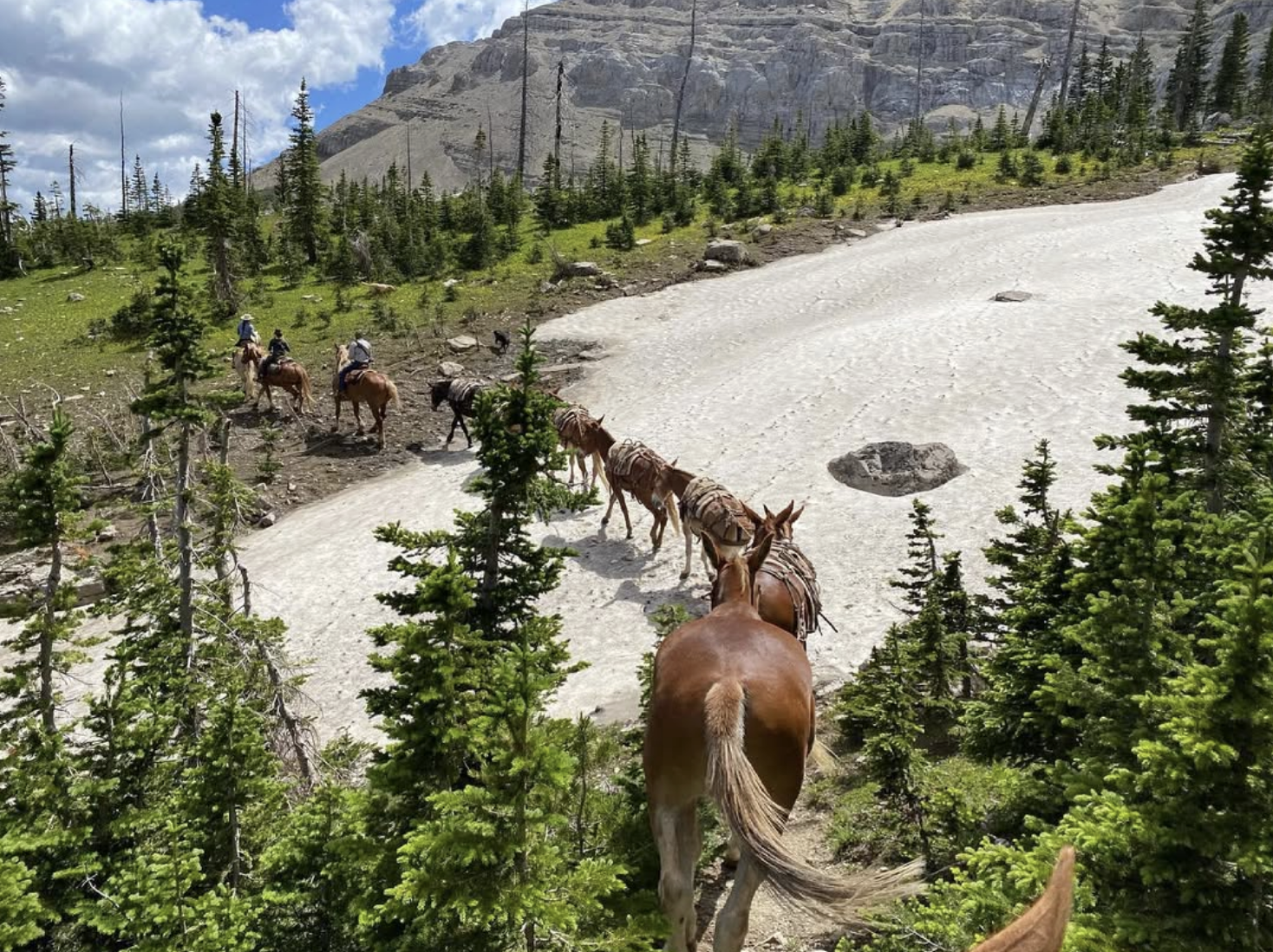 Screenshot 2026-02-19 at 12.34.48 PM.png