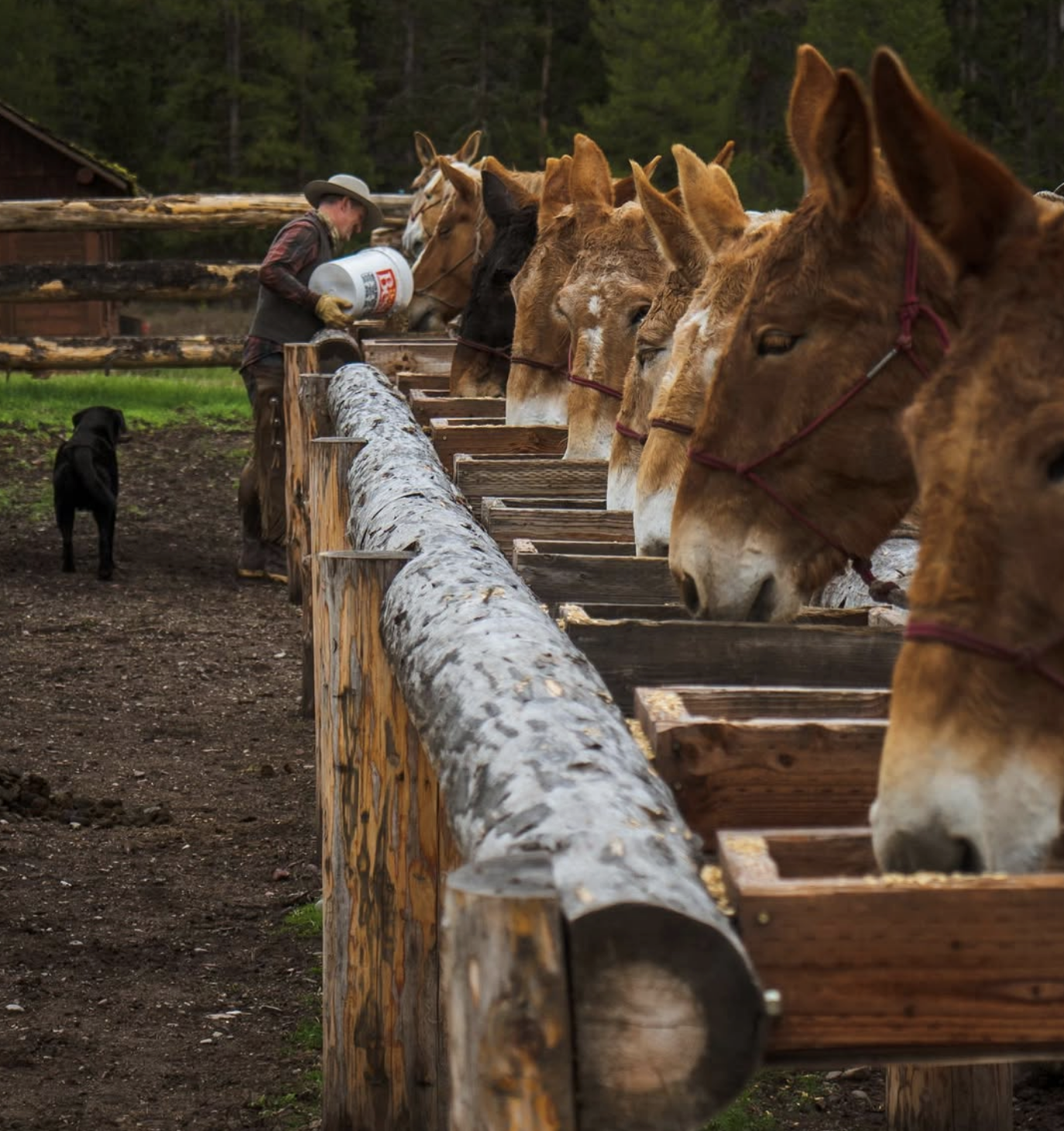 Screenshot 2026-03-28 at 7.51.48 PM.png