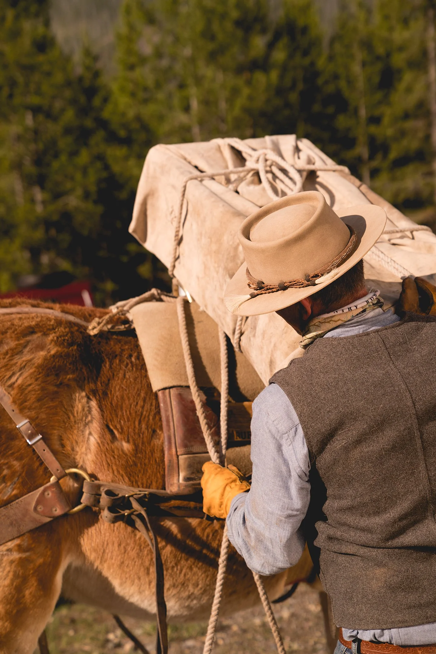 chris-loading6.jpg (Copy)