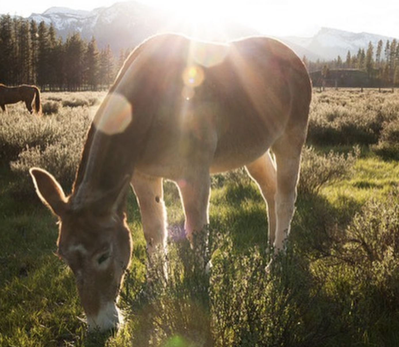 Screenshot 2026-03-28 at 7.57.17 PM.png