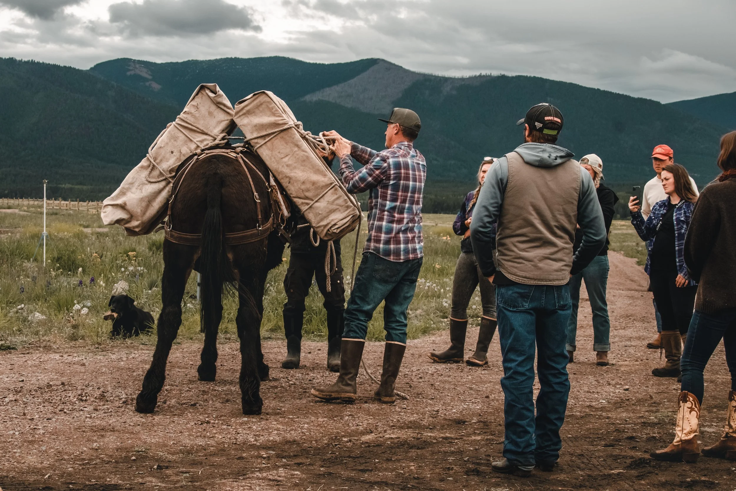 Pack Clinic Trip - Remaining Balance