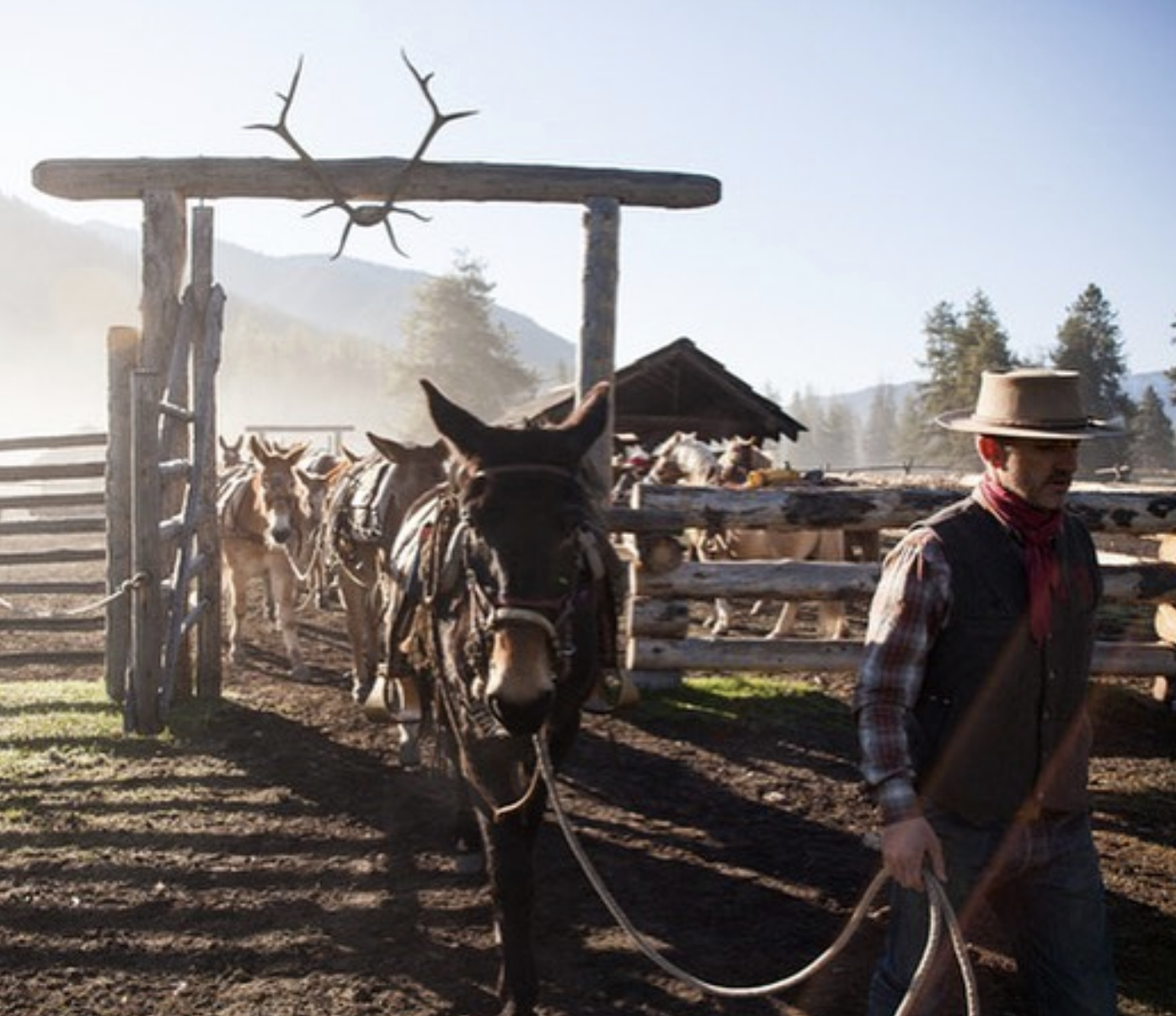 Screenshot 2026-03-28 at 7.56.36 PM.png