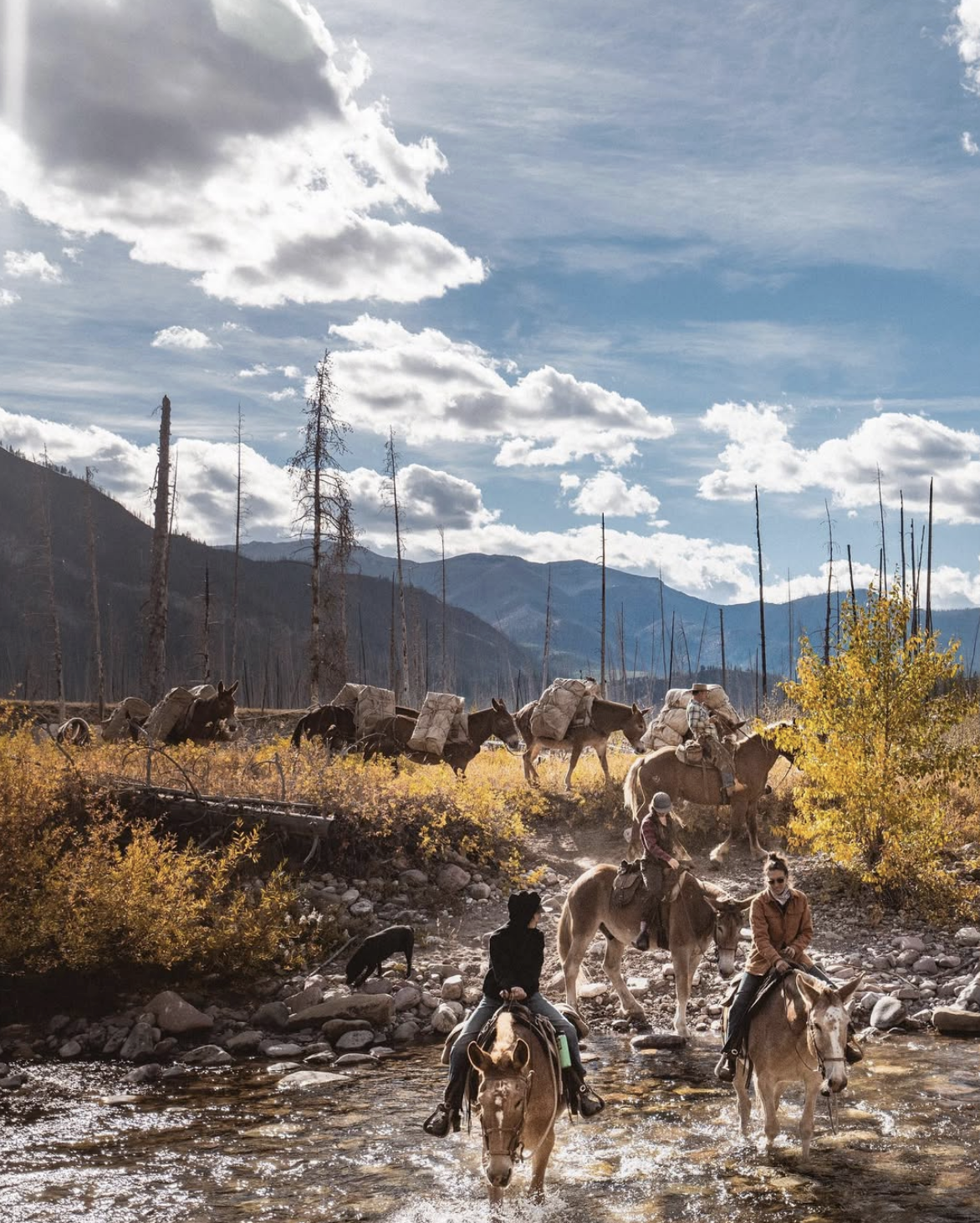 Screenshot 2026-02-18 at 7.19.31 PM.png