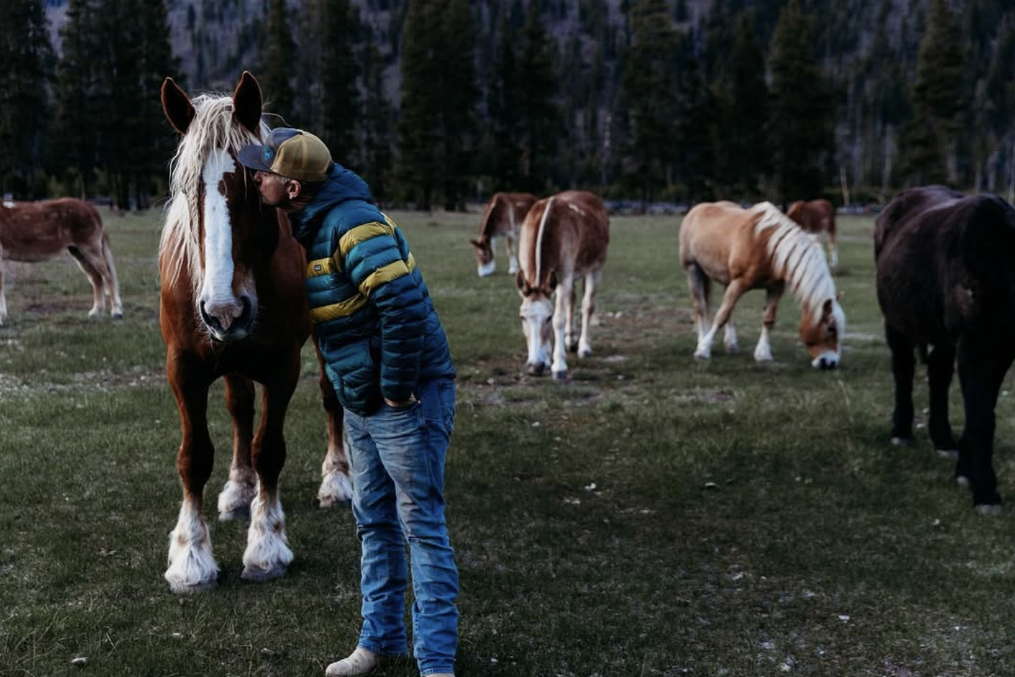 Screenshot 2026-02-19 at 12.28.01 PM.png