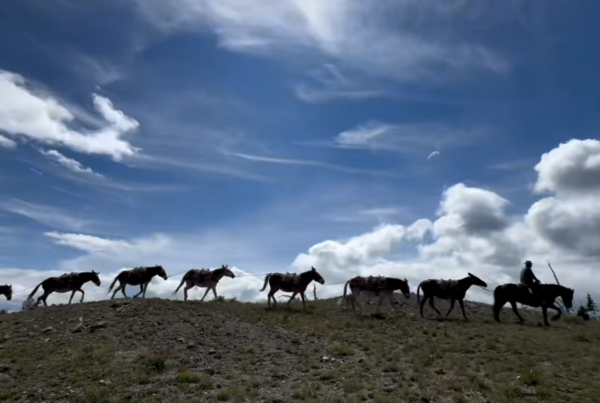 Screenshot 2026-02-18 at 7.31.49 PM.png