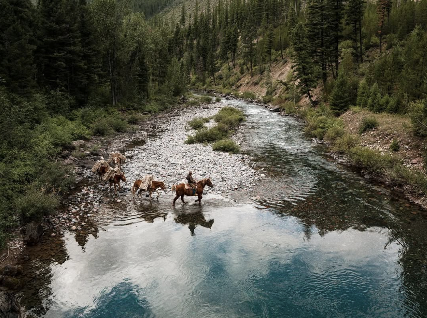 Screenshot 2026-02-19 at 12.31.16 PM.png