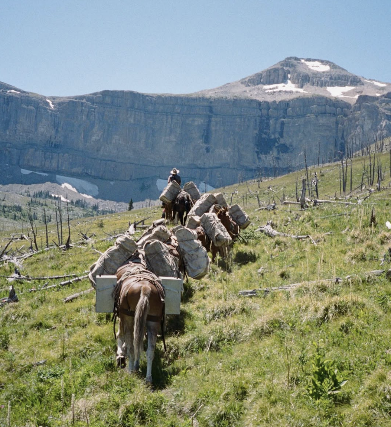 Screenshot 2026-02-19 at 12.30.33 PM.png